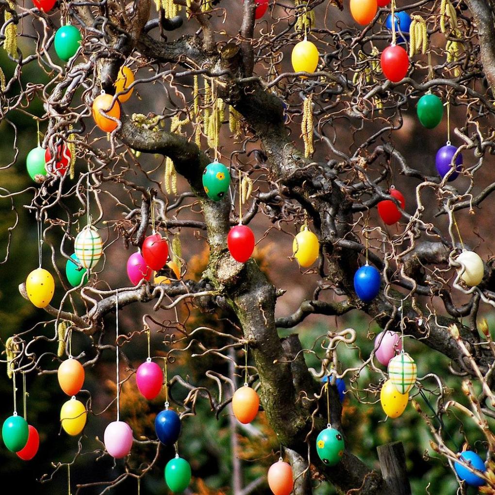 Ostereier am Strauch